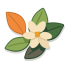 cropped-pngtree-the-simple-jasmine-icon-vector-png-image_6963934.png